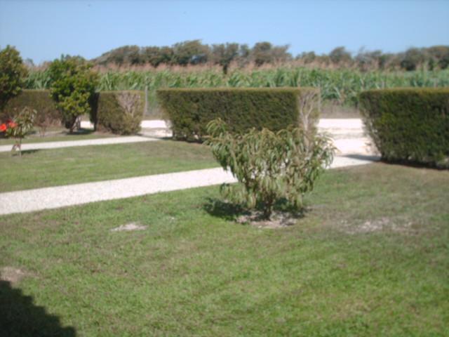 Gasthaus Quinta da Bunheira Rogil Exterior foto